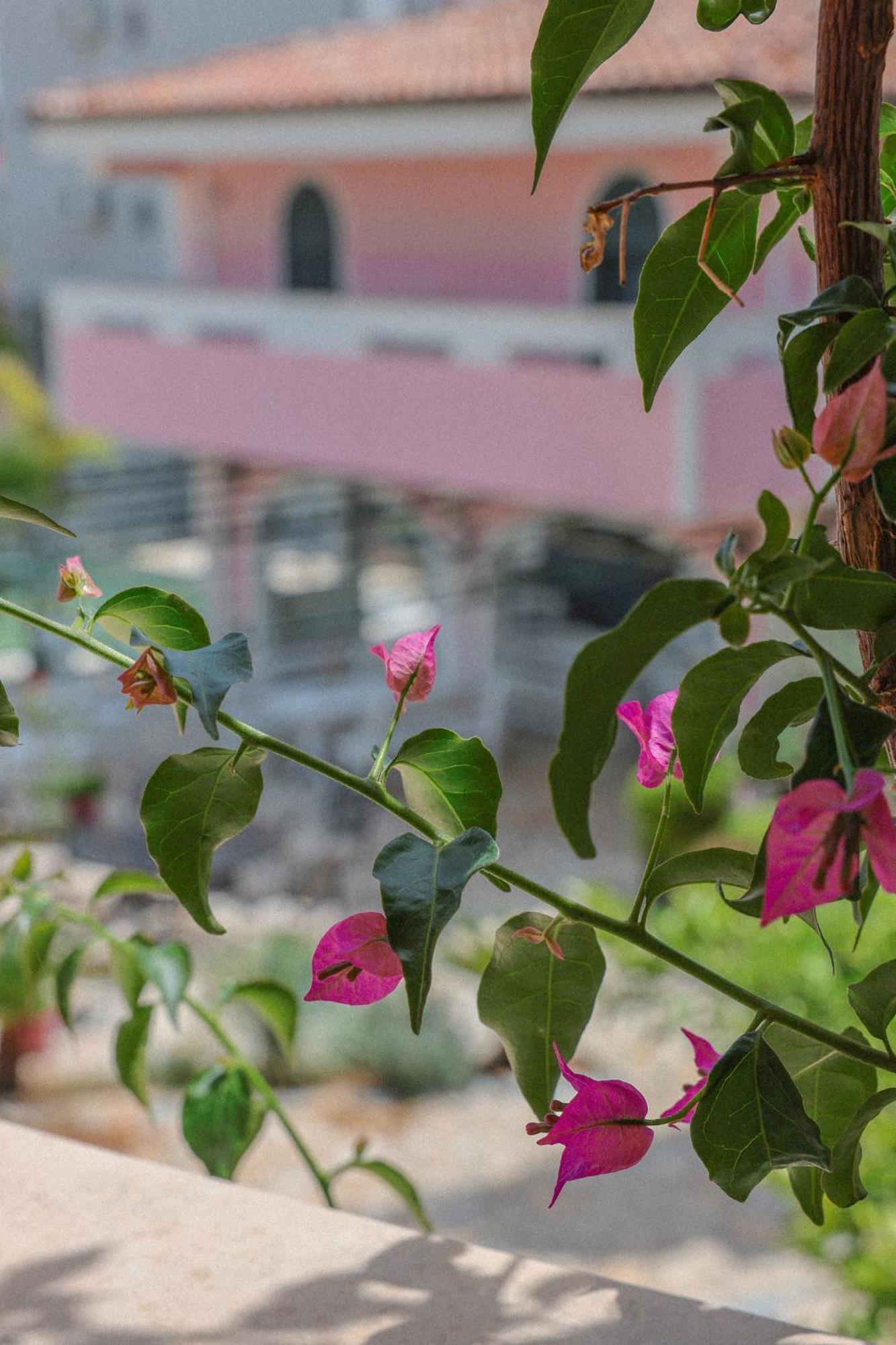 Hotel Casa Selimi Ulcinj Zewnętrze zdjęcie